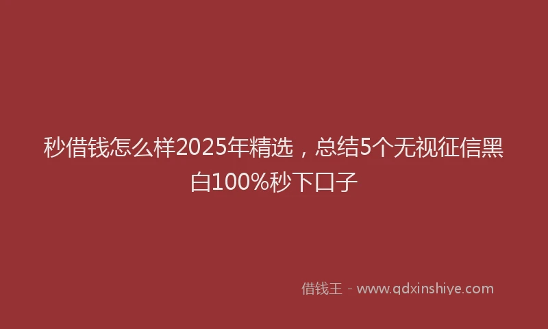 秒借钱怎么样2025年精选，总结5个无视征信黑白100%秒下口子