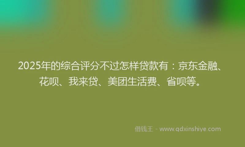 2025年的综合评分不过怎样贷款有：京东金融、花呗、我来贷、美团生活费、省呗等。