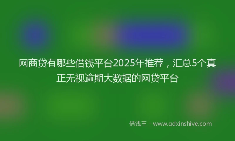 网商贷有哪些借钱平台2025年推荐，汇总5个真正无视逾期大数据的网贷平台