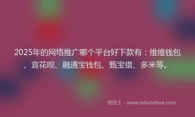 2025年的网络推广哪个平台好下款有：维维钱包、宜花呗、融通宝钱包、甄宝借、多米等。