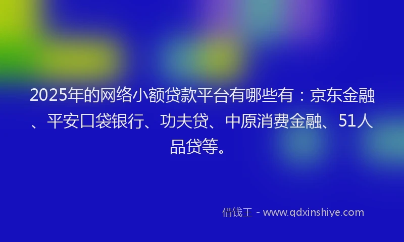 2025年的网络小额贷款平台有哪些有：京东金融、平安口袋银行、功夫贷、中原消费金融、51人品贷等。