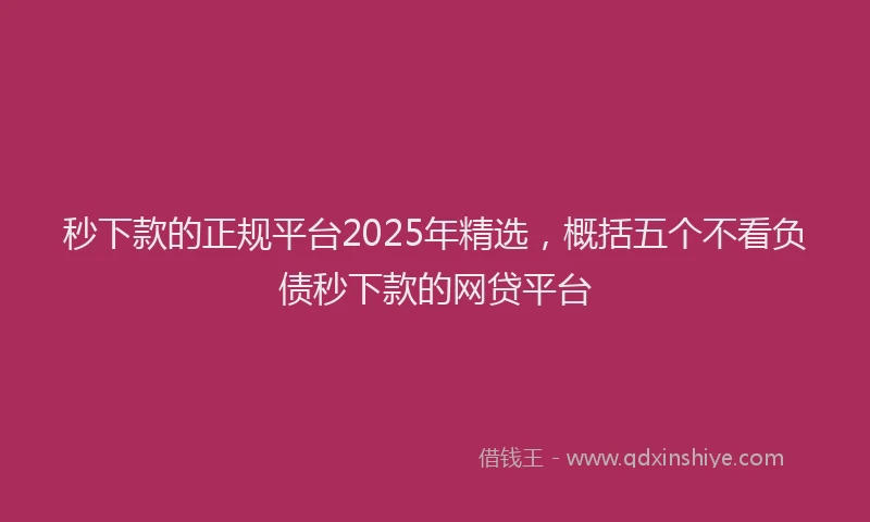秒下款的正规平台2025年精选，概括五个不看负债秒下款的网贷平台