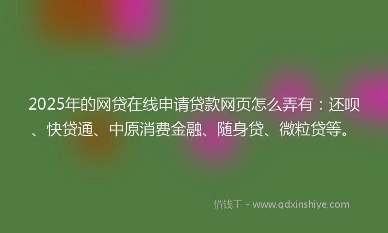 2025年的网贷在线申请贷款网页怎么弄有：还呗、快贷通、中原消费金融、随身贷、微粒贷等。