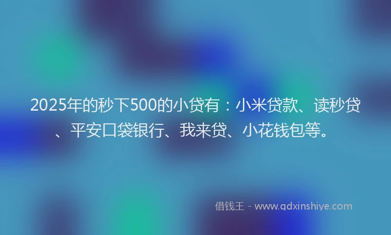2025年的秒下500的小贷有：小米贷款、读秒贷、平安口袋银行、我来贷、小花钱包等。