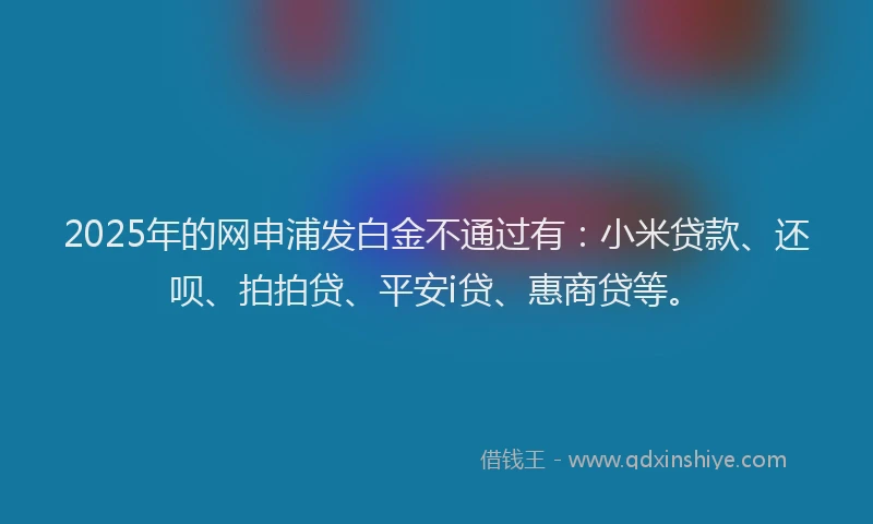 2025年的网申浦发白金不通过有：小米贷款、还呗、拍拍贷、平安i贷、惠商贷等。