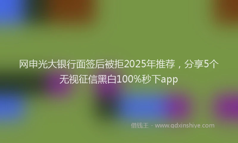 网申光大银行面签后被拒2025年推荐，分享5个无视征信黑白100%秒下app