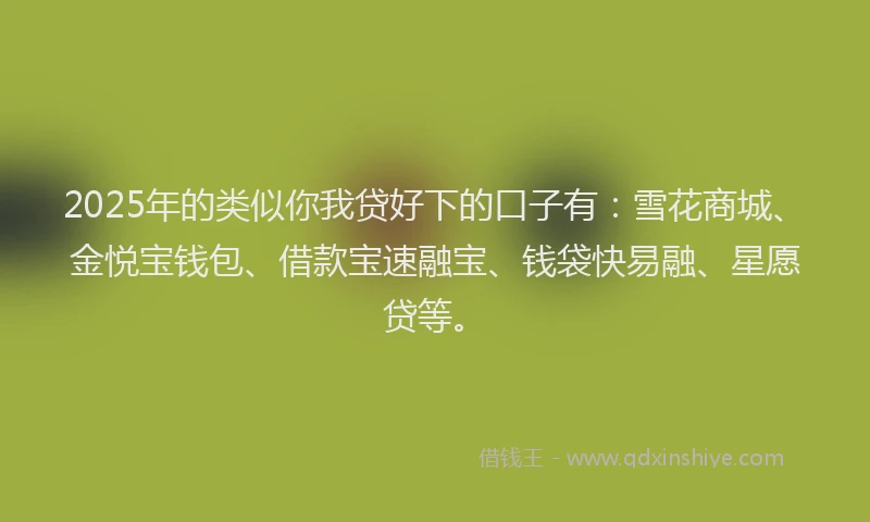 2025年的类似你我贷好下的口子有：雪花商城、金悦宝钱包、借款宝速融宝、钱袋快易融、星愿贷等。