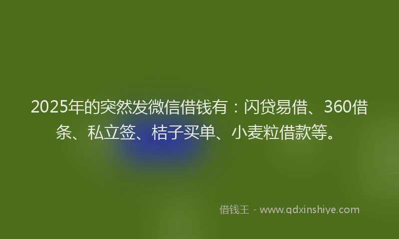 2025年的突然发微信借钱有：闪贷易借、360借条、私立签、桔子买单、小麦粒借款等。