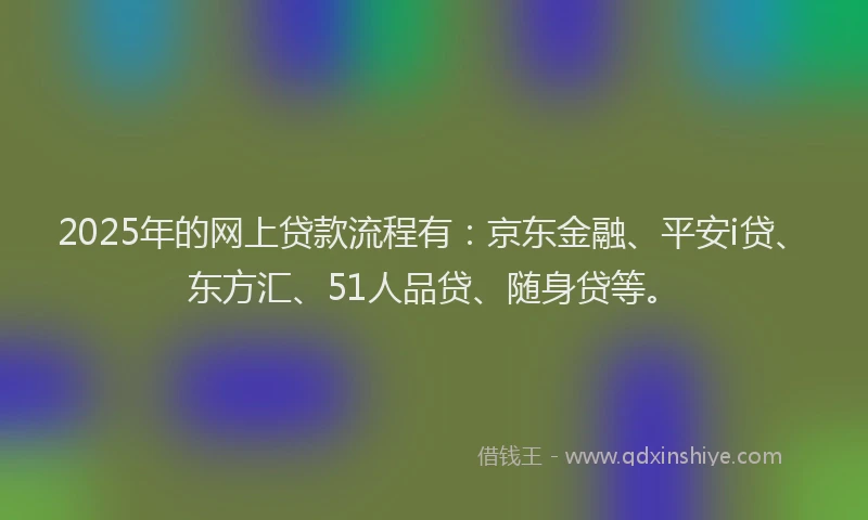 2025年的网上贷款流程有：京东金融、平安i贷、东方汇、51人品贷、随身贷等。