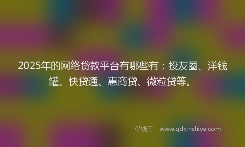 2025年的网络贷款平台有哪些有：投友圈、洋钱罐、快贷通、惠商贷、微粒贷等。