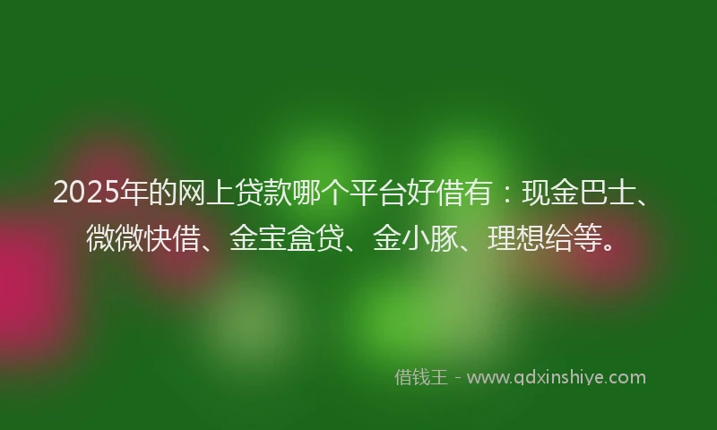 2025年的网上贷款哪个平台好借有：现金巴士、微微快借、金宝盒贷、金小豚、理想给等。