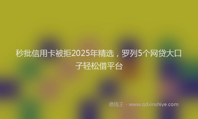 秒批信用卡被拒2025年精选，罗列5个网贷大口子轻松借平台