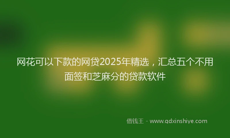网花可以下款的网贷2025年精选，汇总五个不用面签和芝麻分的贷款软件