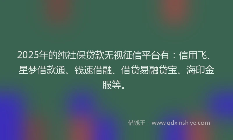 2025年的纯社保贷款无视征信平台有：信用飞、星梦借款通、钱速借融、借贷易融贷宝、海印金服等。