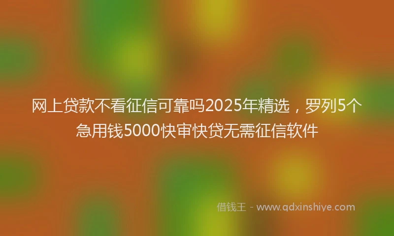 网上贷款不看征信可靠吗2025年精选，罗列5个急用钱5000快审快贷无需征信软件