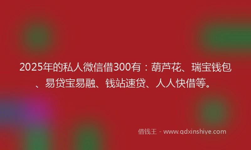 2025年的私人微信借300有：葫芦花、瑞宝钱包、易贷宝易融、钱站速贷、人人快借等。