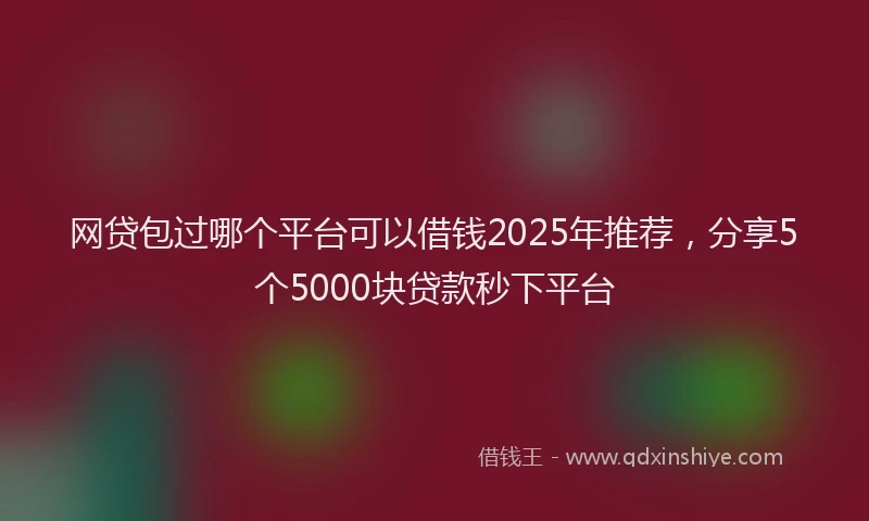 网贷包过哪个平台可以借钱2025年推荐，分享5个5000块贷款秒下平台