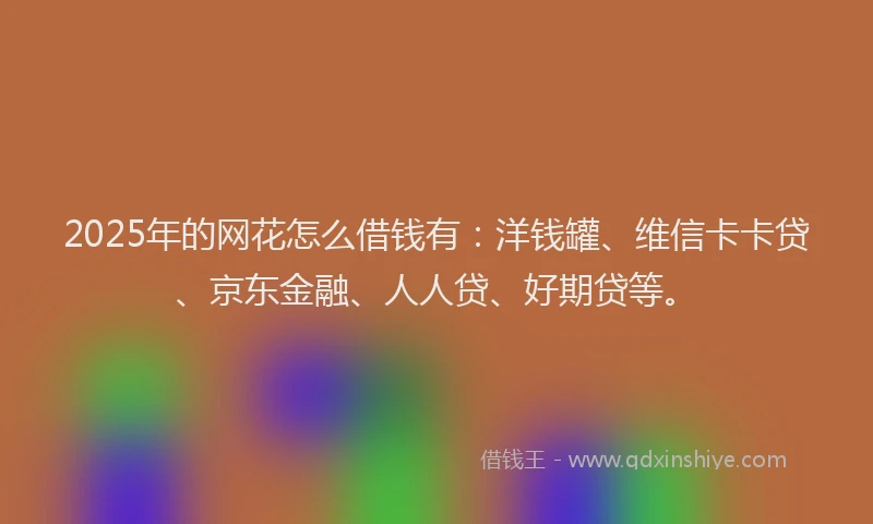 2025年的网花怎么借钱有：洋钱罐、维信卡卡贷、京东金融、人人贷、好期贷等。