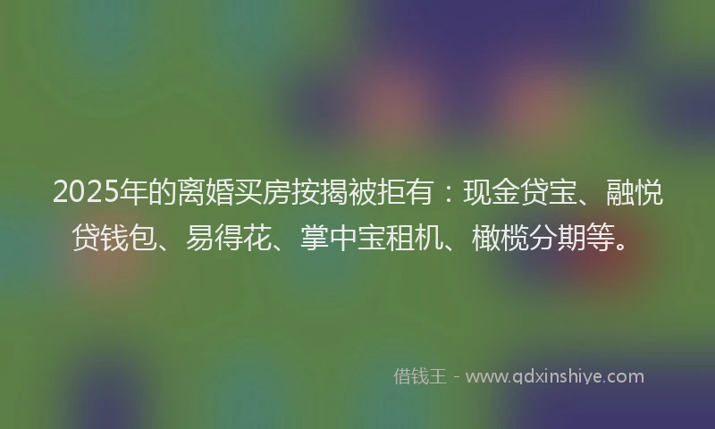 2025年的离婚买房按揭被拒有：现金贷宝、融悦贷钱包、易得花、掌中宝租机、橄榄分期等。