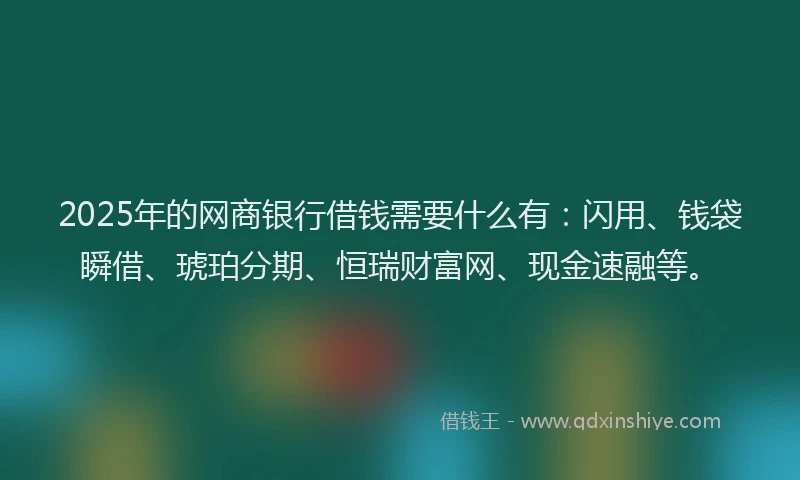 2025年的网商银行借钱需要什么有：闪用、钱袋瞬借、琥珀分期、恒瑞财富网、现金速融等。