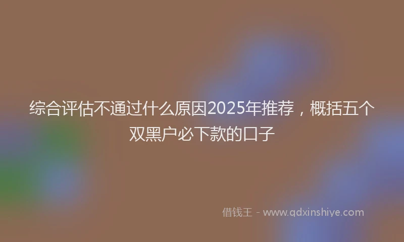 综合评估不通过什么原因2025年推荐，概括五个双黑户必下款的口子