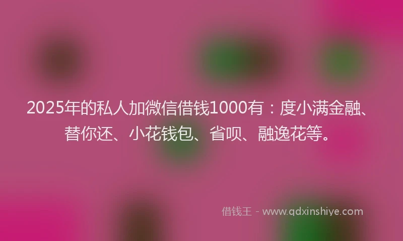 2025年的私人加微信借钱1000有：度小满金融、替你还、小花钱包、省呗、融逸花等。