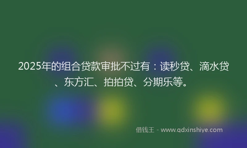 2025年的组合贷款审批不过有：读秒贷、滴水贷、东方汇、拍拍贷、分期乐等。