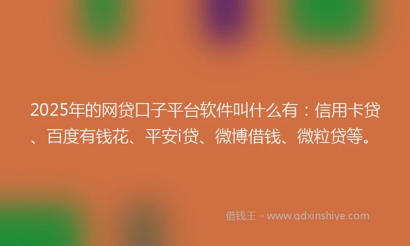 2025年的网贷口子平台软件叫什么有：信用卡贷、百度有钱花、平安i贷、微博借钱、微粒贷等。