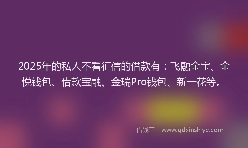 2025年的私人不看征信的借款有：飞融金宝、金悦钱包、借款宝融、金瑞Pro钱包、新一花等。