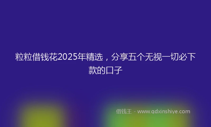 粒粒借钱花2025年精选，分享五个无视一切必下款的口子