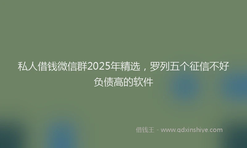 私人借钱微信群2025年精选，罗列五个征信不好负债高的软件