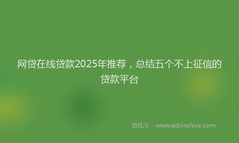 网贷在线贷款2025年推荐，总结五个不上征信的贷款平台