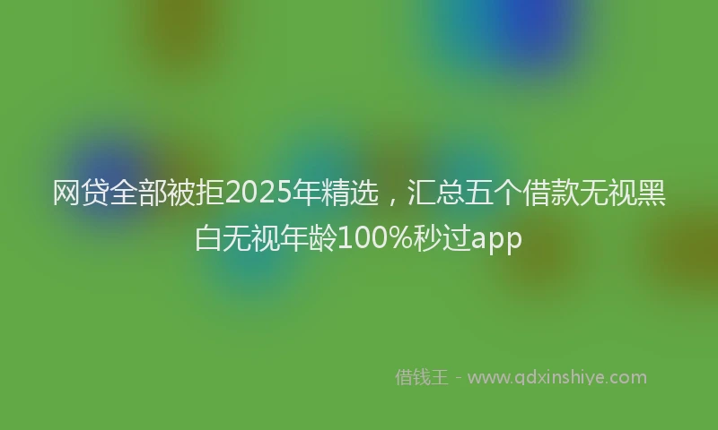 网贷全部被拒2025年精选，汇总五个借款无视黑白无视年龄100%秒过app