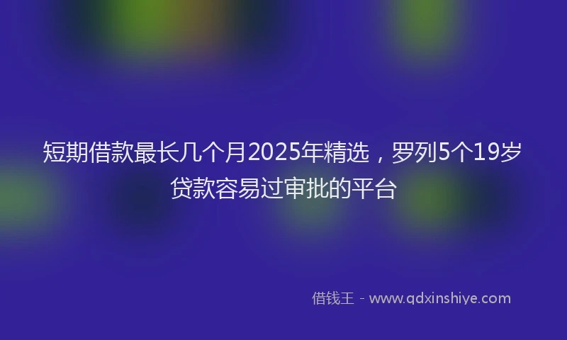 短期借款最长几个月2025年精选，罗列5个19岁贷款容易过审批的平台