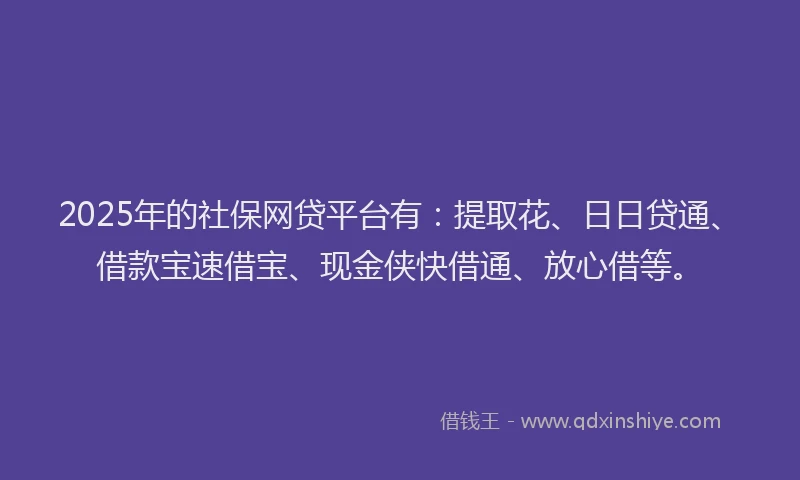 2025年的社保网贷平台有：提取花、日日贷通、借款宝速借宝、现金侠快借通、放心借等。