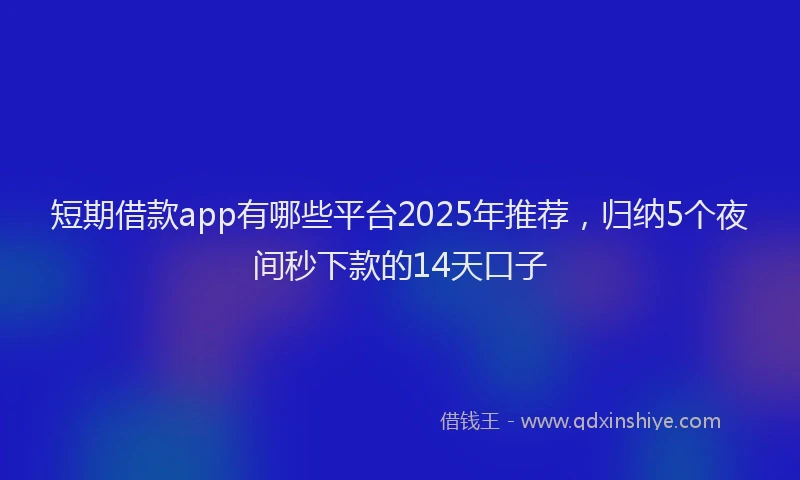 短期借款app有哪些平台2025年推荐，归纳5个夜间秒下款的14天口子