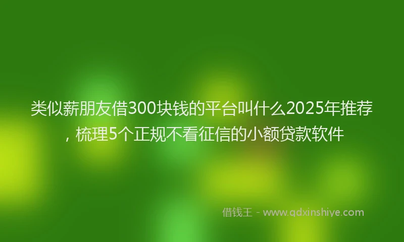 类似薪朋友借300块钱的平台叫什么2025年推荐，梳理5个正规不看征信的小额贷款软件