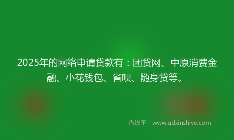 2025年的网络申请贷款有：团贷网、中原消费金融、小花钱包、省呗、随身贷等。