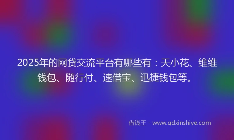 2025年的网贷交流平台有哪些有：天小花、维维钱包、随行付、速借宝、迅捷钱包等。