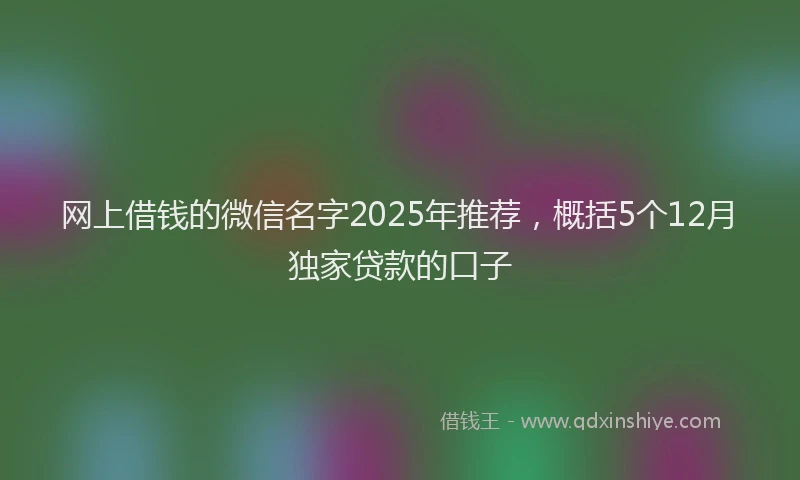网上借钱的微信名字2025年推荐，概括5个12月独家贷款的口子