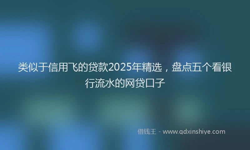 类似于信用飞的贷款2025年精选，盘点五个看银行流水的网贷口子