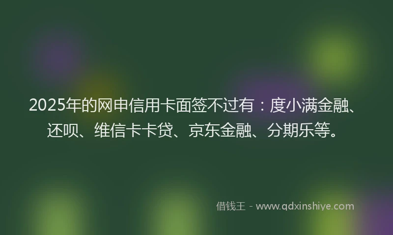 2025年的网申信用卡面签不过有：度小满金融、还呗、维信卡卡贷、京东金融、分期乐等。