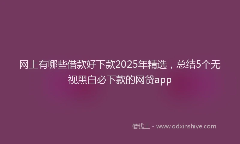 网上有哪些借款好下款2025年精选，总结5个无视黑白必下款的网贷app