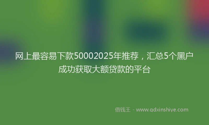 网上最容易下款50002025年推荐，汇总5个黑户成功获取大额贷款的平台