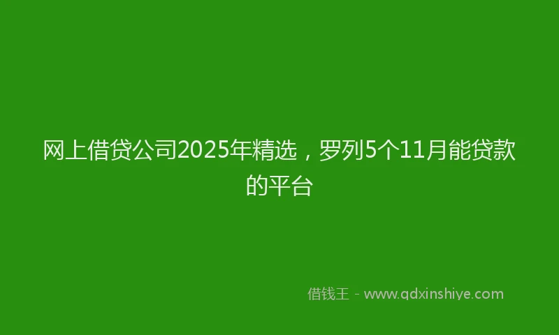 网上借贷公司2025年精选，罗列5个11月能贷款的平台