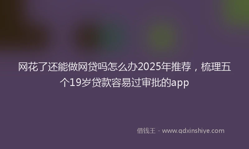 网花了还能做网贷吗怎么办2025年推荐，梳理五个19岁贷款容易过审批的app