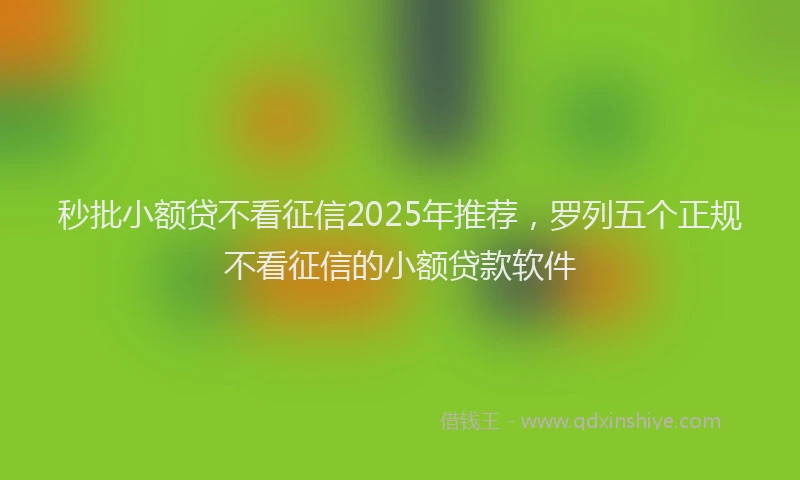 秒批小额贷不看征信2025年推荐，罗列五个正规不看征信的小额贷款软件