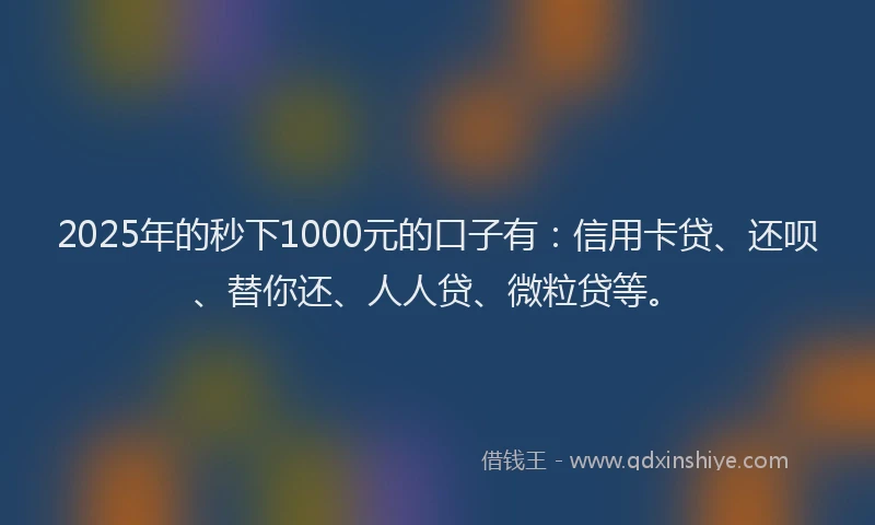 2025年的秒下1000元的口子有：信用卡贷、还呗、替你还、人人贷、微粒贷等。