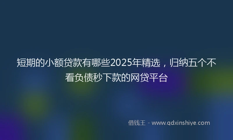 短期的小额贷款有哪些2025年精选，归纳五个不看负债秒下款的网贷平台