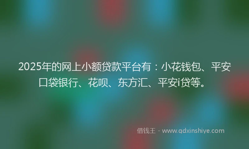 2025年的网上小额贷款平台有：小花钱包、平安口袋银行、花呗、东方汇、平安i贷等。